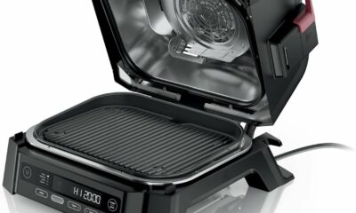 Ninja OG301 Woodfire Electric Grill & Smoker product image