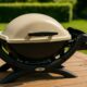 Best 14 Portable Propane Grills: Our Top Picks for 2026 featured image