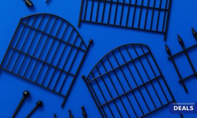 Best 15 Budget Decorative Fences That Actually Work in 2026 featured image