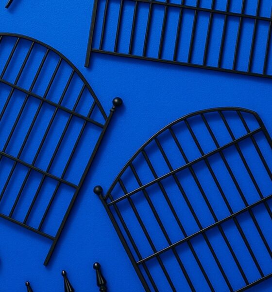 Best 15 Budget Decorative Fences That Actually Work in 2026 featured image