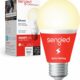 30 Best Smart Bulbs for 2026: Real Picks for Every Room featured image