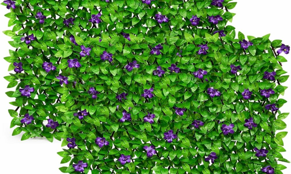 15 Best Budget Decorative Fences of 2026: Real Picks That Work featured image