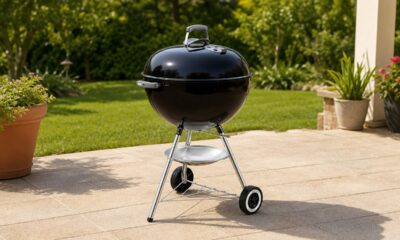 15 Best Budget Propane Grills Worth Buying in 2026 featured image