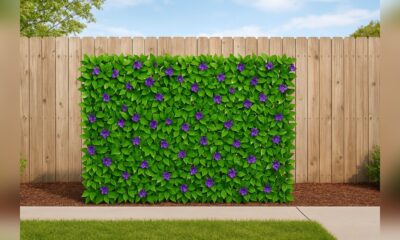 28 Best Decorative Fences for 2026 featured image