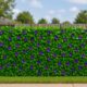 28 Best Decorative Fences for 2026 featured image